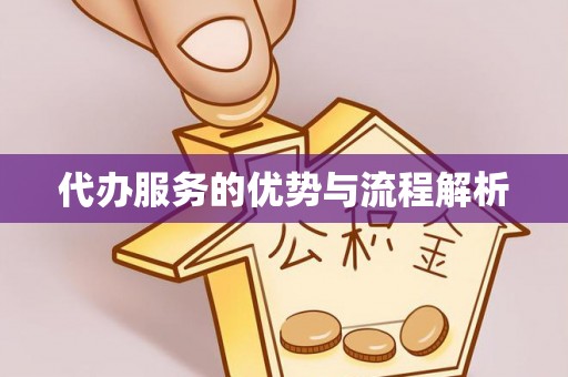 肃宁代办服务的优势与流程解析