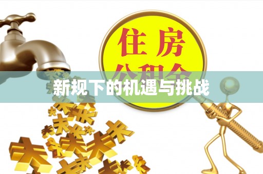 肃宁新规下的机遇与挑战