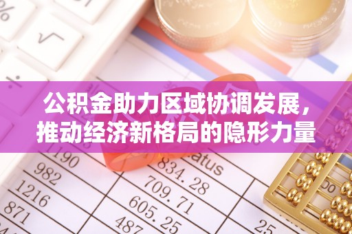 肃宁公积金助力区域协调发展，推动经济新格局的隐形力量