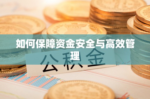 肃宁如何保障资金安全与高效管理