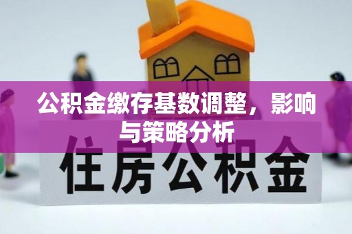 肃宁公积金缴存基数调整，影响与策略分析