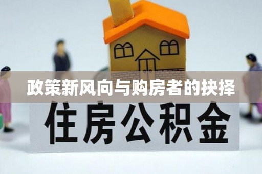 肃宁政策新风向与购房者的抉择