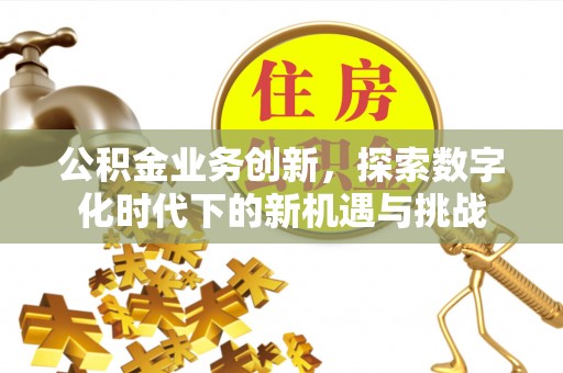 肃宁公积金业务创新，探索数字化时代下的新机遇与挑战
