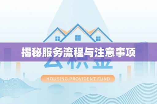 肃宁揭秘服务流程与注意事项