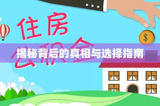 肃宁揭秘背后的真相与选择指南