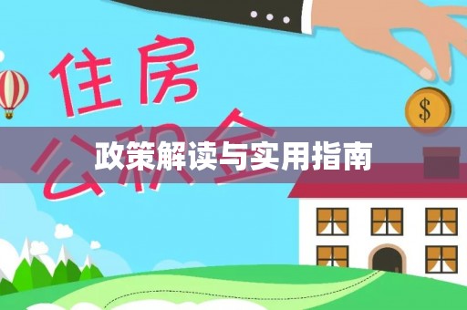 肃宁政策解读与实用指南