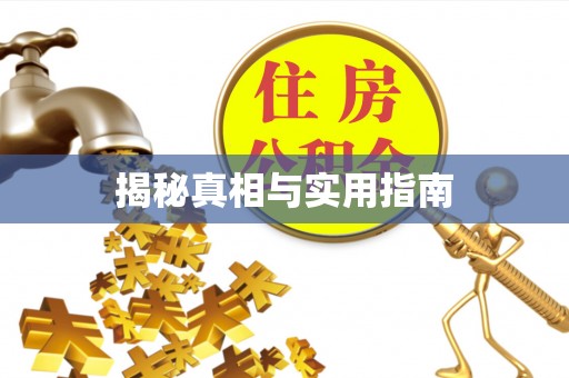 肃宁揭秘真相与实用指南