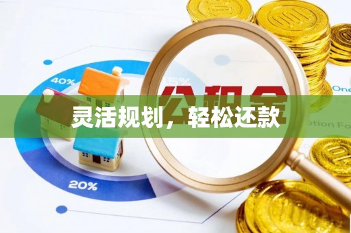 肃宁灵活规划，轻松还款