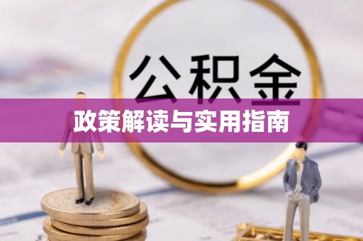 肃宁政策解读与实用指南