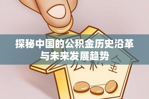 肃宁探秘中国的公积金历史沿革与未来发展趋势