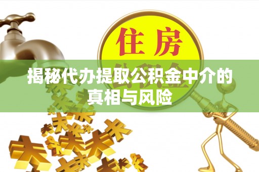 肃宁揭秘代办提取公积金中介的真相与风险