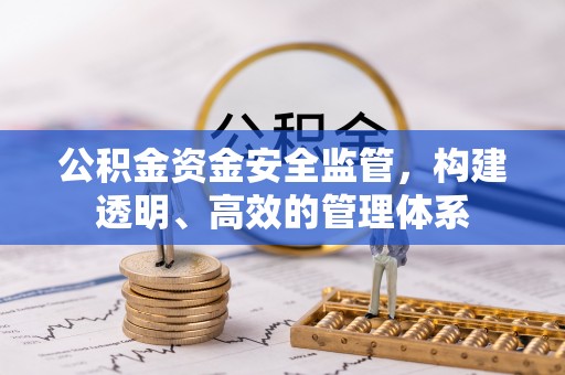 肃宁公积金资金安全监管，构建透明、高效的管理体系