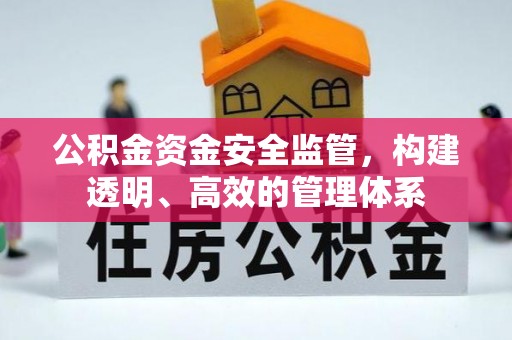 肃宁公积金资金安全监管，构建透明、高效的管理体系
