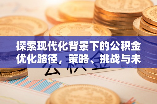 肃宁探索现代化背景下的公积金优化路径，策略、挑战与未来展望