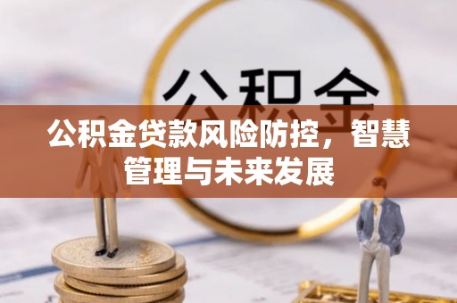 肃宁公积金贷款风险防控，智慧管理与未来发展