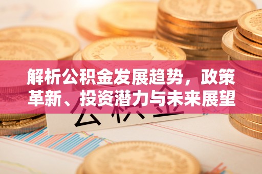 肃宁解析公积金发展趋势，政策革新、投资潜力与未来展望