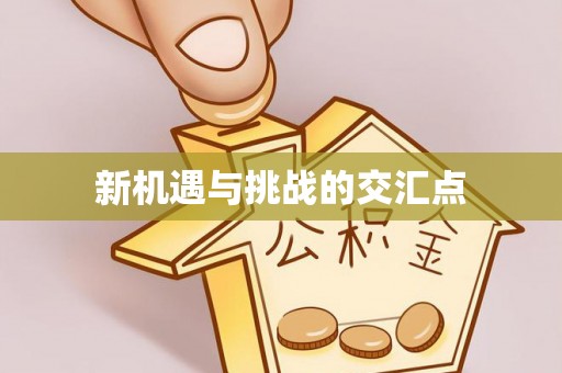 肃宁新机遇与挑战的交汇点