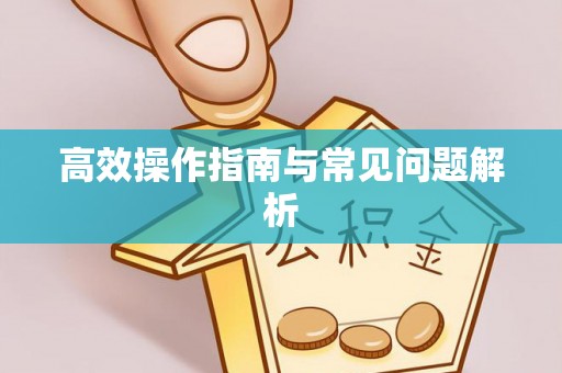 肃宁高效操作指南与常见问题解析