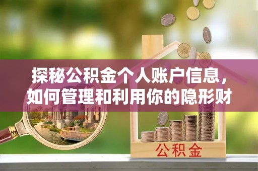 肃宁探秘公积金个人账户信息，如何管理和利用你的隐形财富
