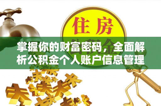 肃宁掌握你的财富密码，全面解析公积金个人账户信息管理与优化