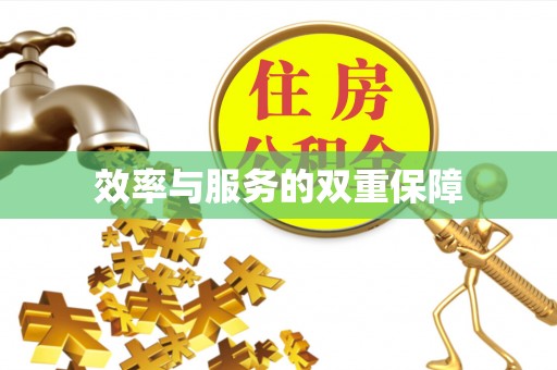 肃宁效率与服务的双重保障