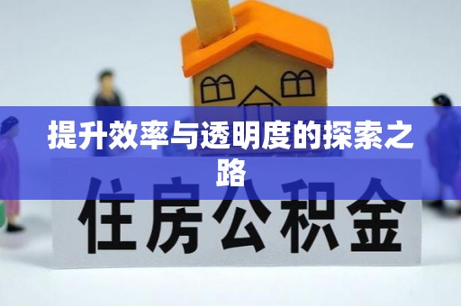 肃宁提升效率与透明度的探索之路