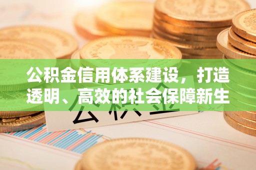肃宁公积金信用体系建设，打造透明、高效的社会保障新生态