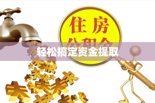 肃宁轻松搞定资金提取