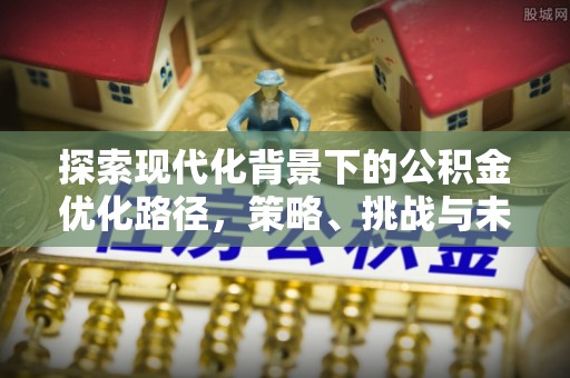 肃宁探索现代化背景下的公积金优化路径，策略、挑战与未来展望