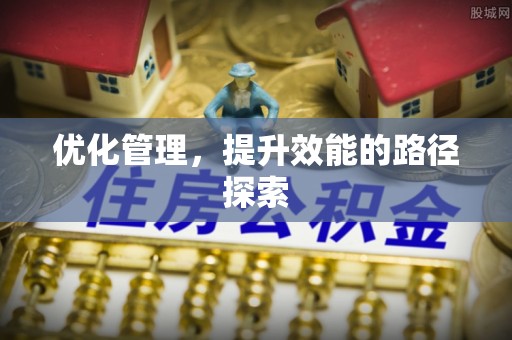 肃宁优化管理，提升效能的路径探索