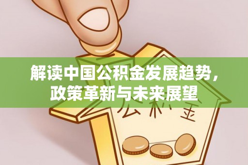 肃宁解读中国公积金发展趋势，政策革新与未来展望