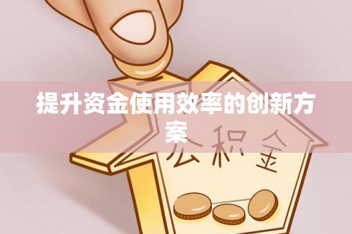 肃宁提升资金使用效率的创新方案