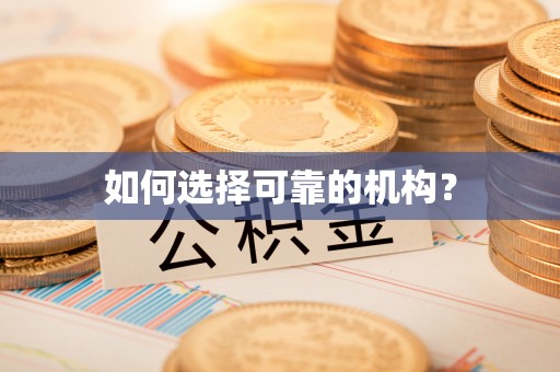 肃宁如何选择可靠的机构？