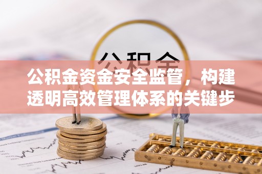 肃宁公积金资金安全监管，构建透明高效管理体系的关键步骤
