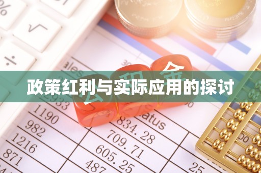 肃宁政策红利与实际应用的探讨