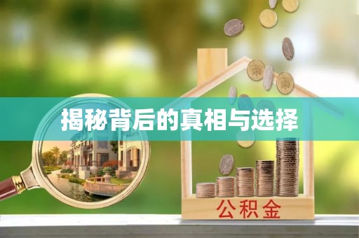肃宁揭秘背后的真相与选择