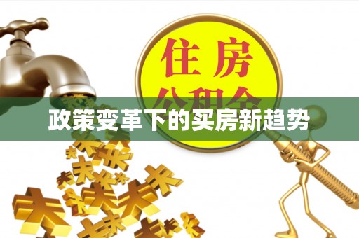 肃宁政策变革下的买房新趋势