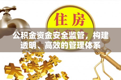 肃宁公积金资金安全监管，构建透明、高效的管理体系