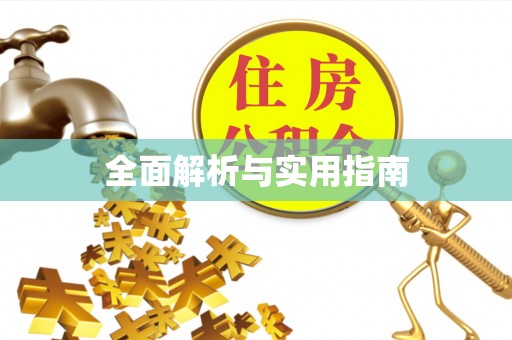 肃宁全面解析与实用指南