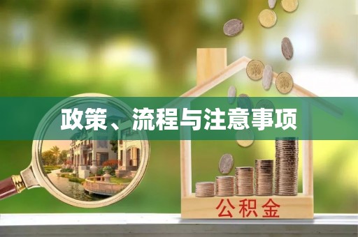 肃宁政策、流程与注意事项
