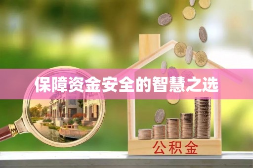 肃宁保障资金安全的智慧之选