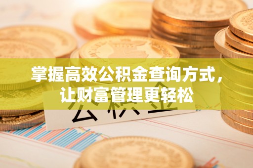 肃宁掌握高效公积金查询方式，让财富管理更轻松