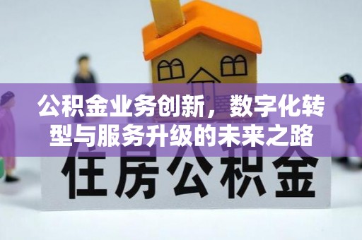 肃宁公积金业务创新，数字化转型与服务升级的未来之路
