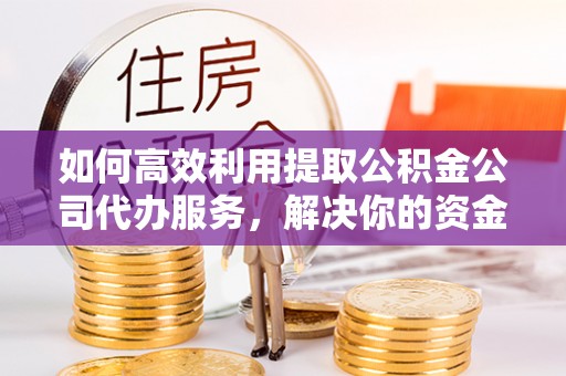 肃宁如何高效利用提取公积金公司代办服务，解决你的资金难题