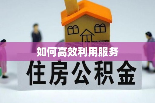 肃宁如何高效利用服务