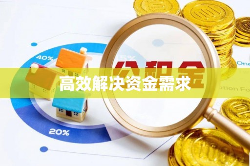肃宁高效解决资金需求