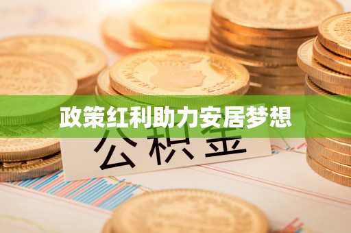 肃宁政策红利助力安居梦想