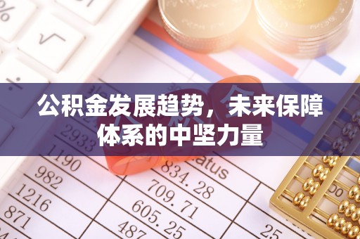 肃宁公积金发展趋势，未来保障体系的中坚力量