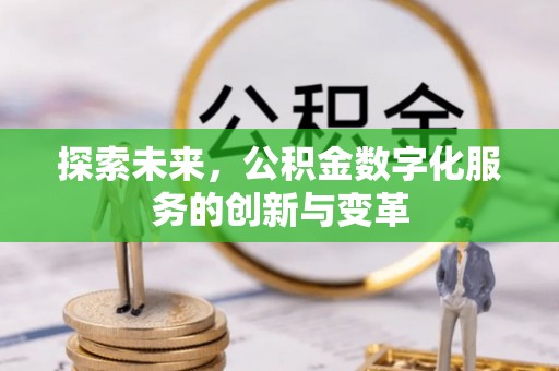 肃宁探索未来，公积金数字化服务的创新与变革