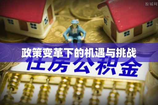 肃宁政策变革下的机遇与挑战